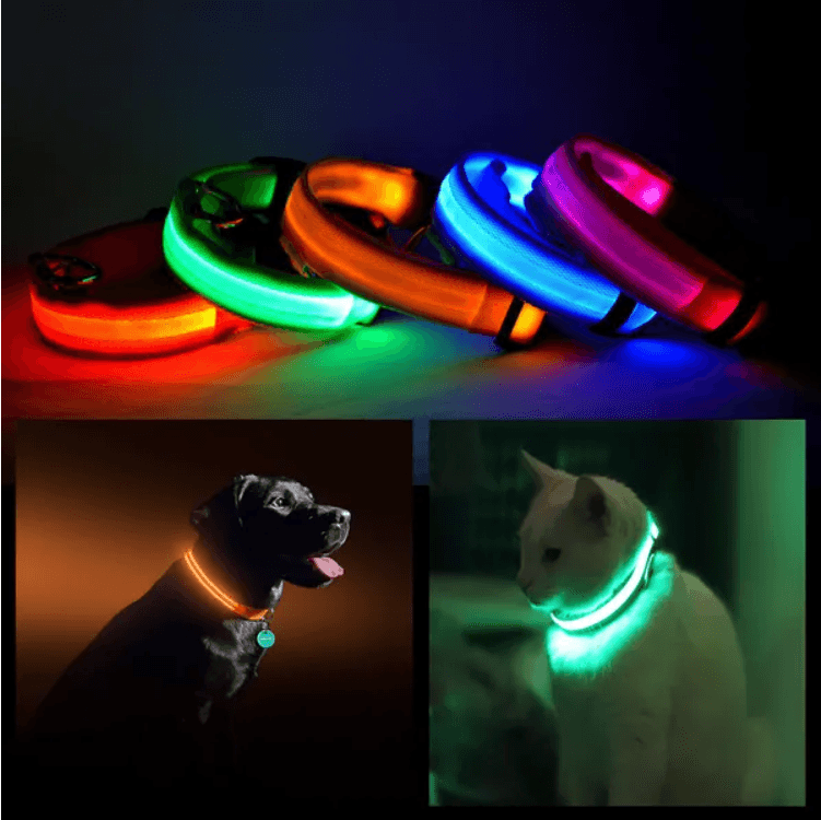Collar de Seguridad LED Estilo Halo para Mascotas