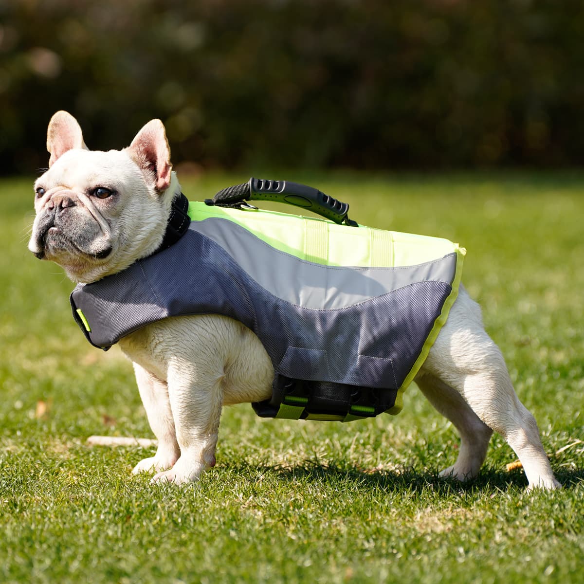 Chaleco Salvavidas Reflectante para Perros