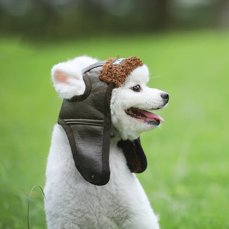 Gorro para Perro Otoño-Invierno
