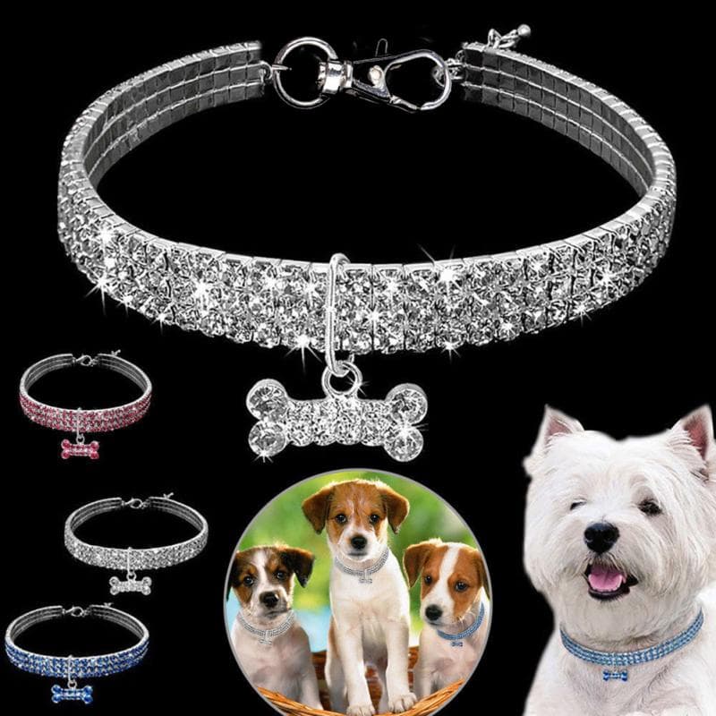 Collar de Rhinestones para Perros y Gatos Pequeños