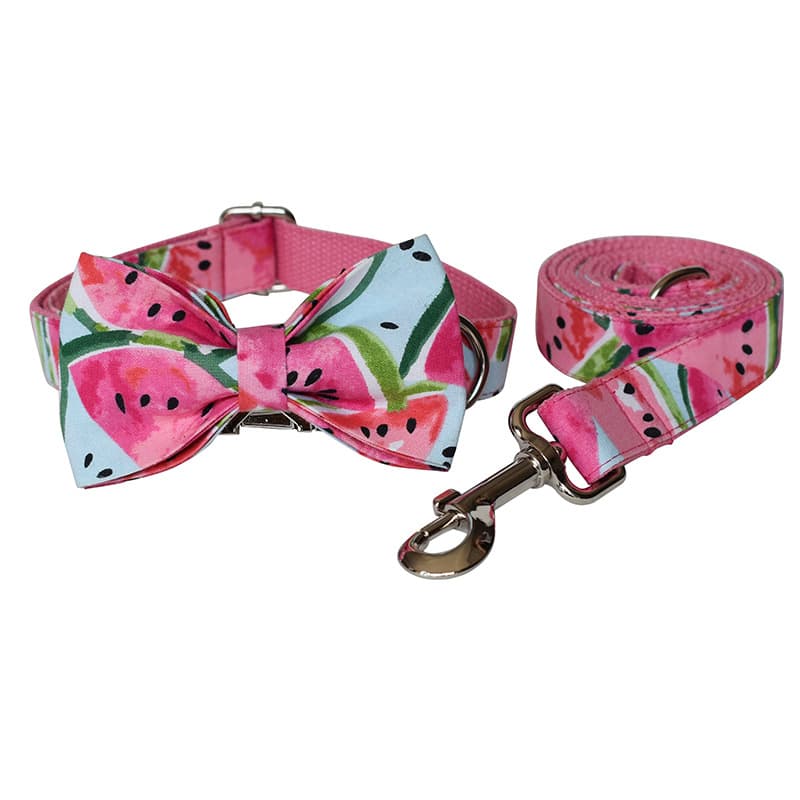 Collar y Correa para Perro
