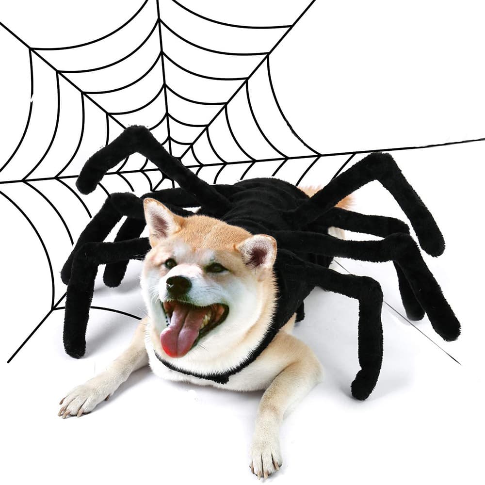 Disfraz de Araña para Mascotas - Halloween Divertido