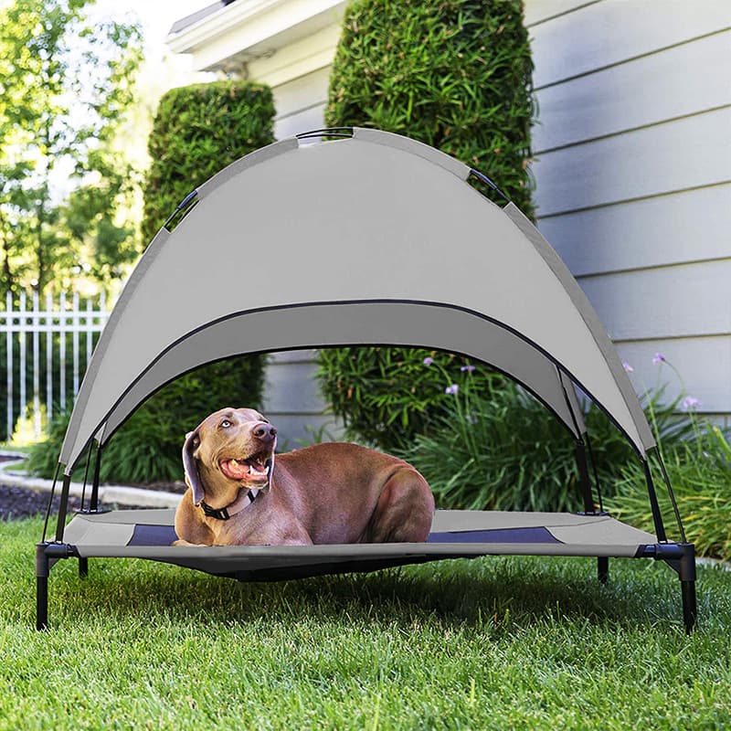 Tienda de Campaña con Cama Elevada para Mascotas