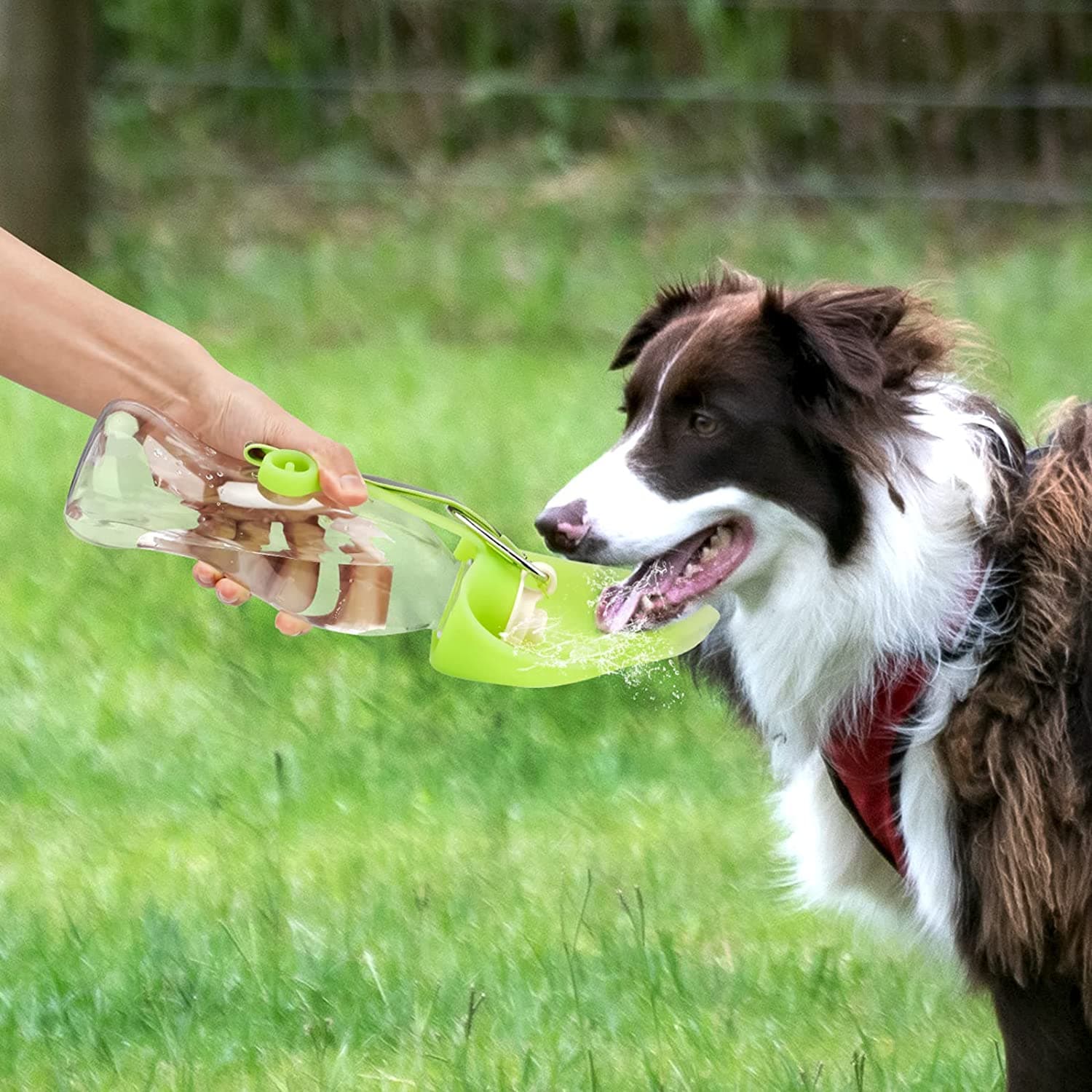 Dispensador de Agua Portátil para Mascotas con Copa