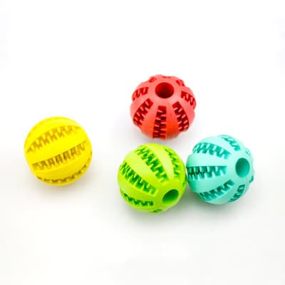 Pelota de Alimentación de Goma Menta con Almacenamiento