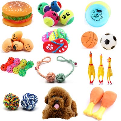 Pelota Interactiva para Perros