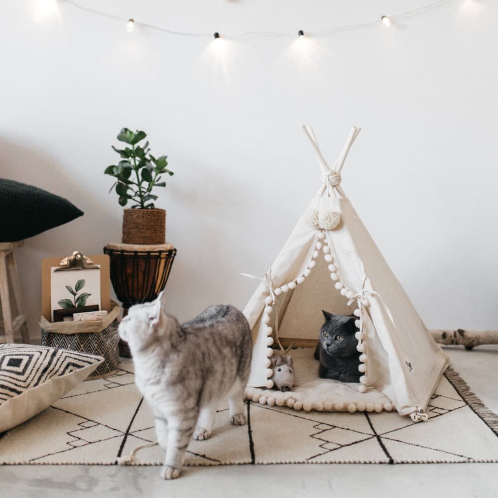Tienda Cama Tipo Tienda para Mascotas