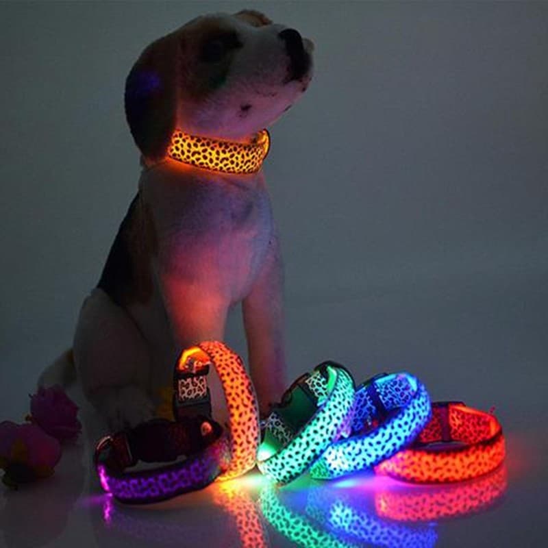 Collar LED de Seguridad para Perro Leopardo Ajustable
