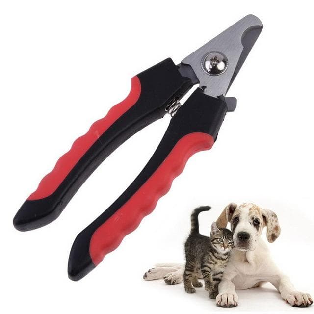 Kit de Aseo para Perros: Tijeras y Cortaúñas