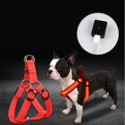 Arnés LED Luminoso para Perros Grandes