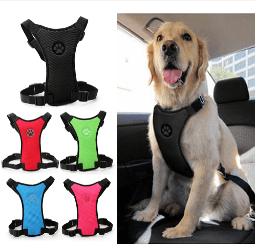 Arnés de Pecho Transpirable para Perro - Seguridad en Coche