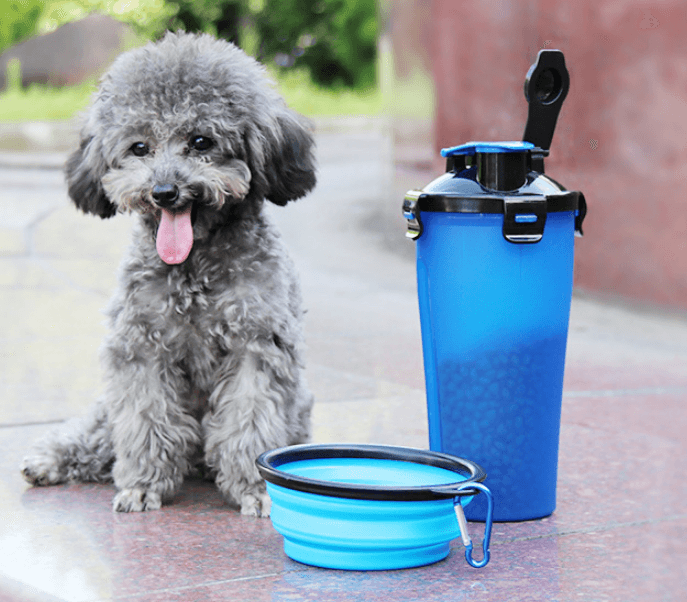 Botella Dispensadora de Agua 2 en 1 para Mascotas