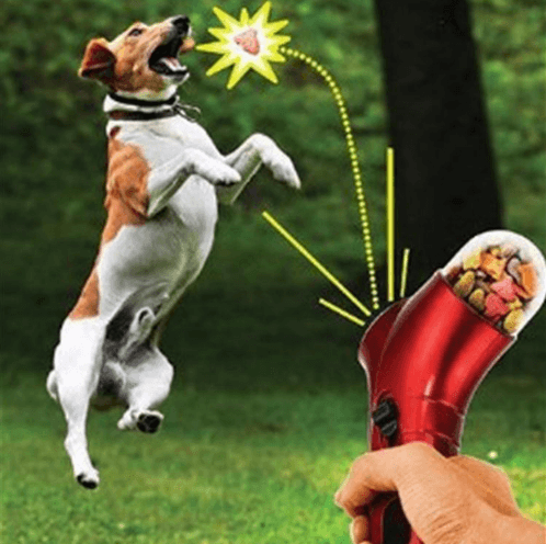 Lanzador de Croquetas para Perros - Juguete Divertido