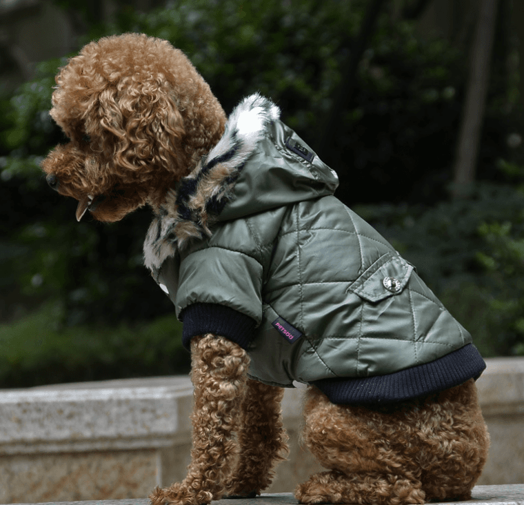 Abrigo para Perro con Cuello de Piel Invierno