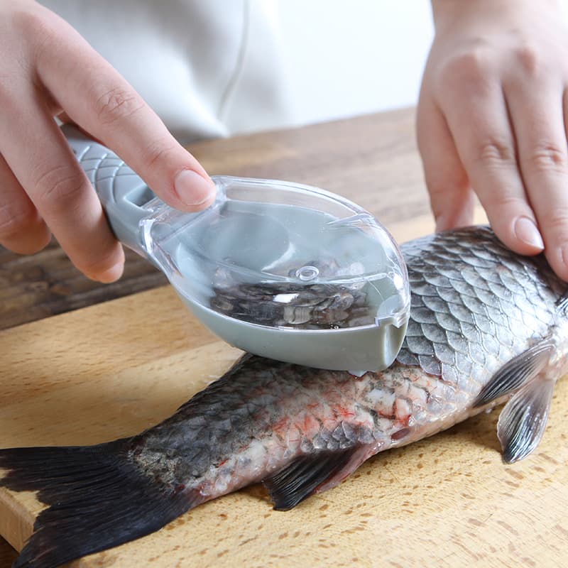 Cepillo Rasqueta para Limpiar Pescado Multiusos