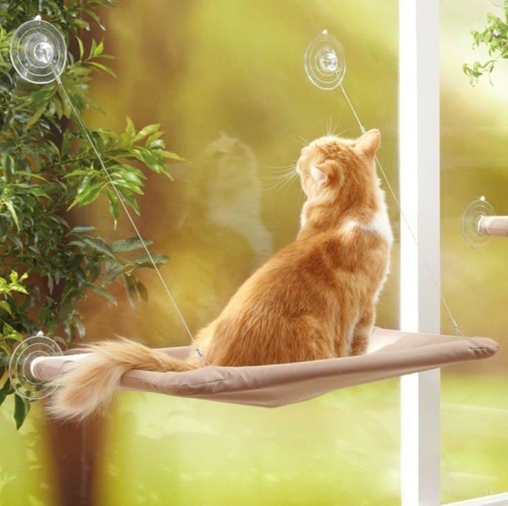 Hamaca Colgante para Gatos con Ventosa para Ventana