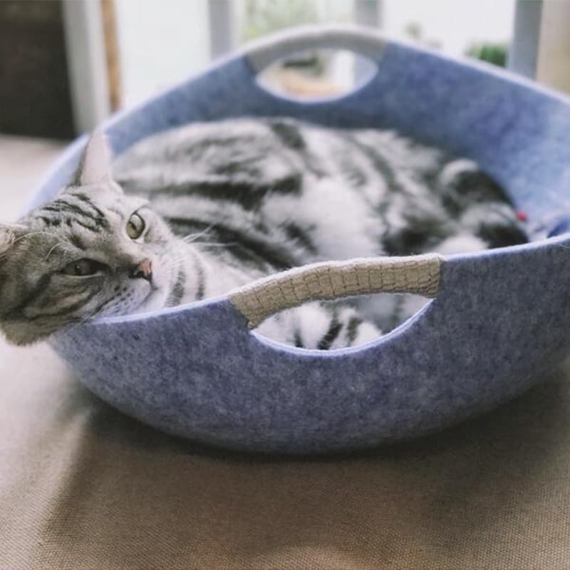 Cama Rascador para Gatos Pet Perch
