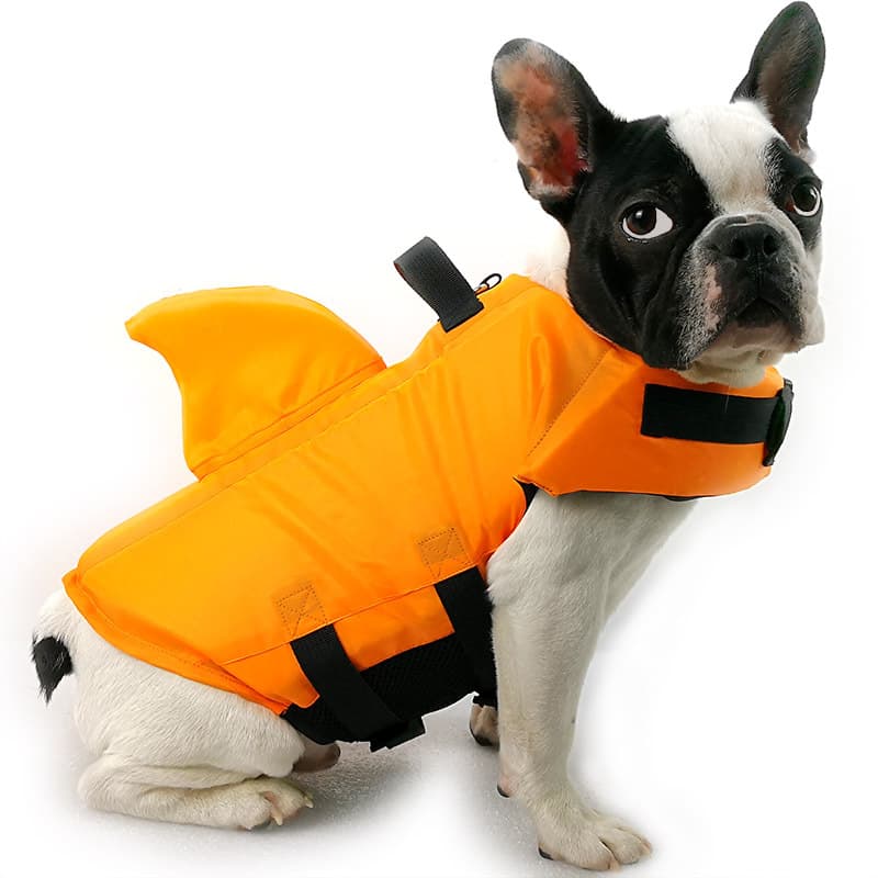 Chaleco Salvavidas para Perros Summer Shark