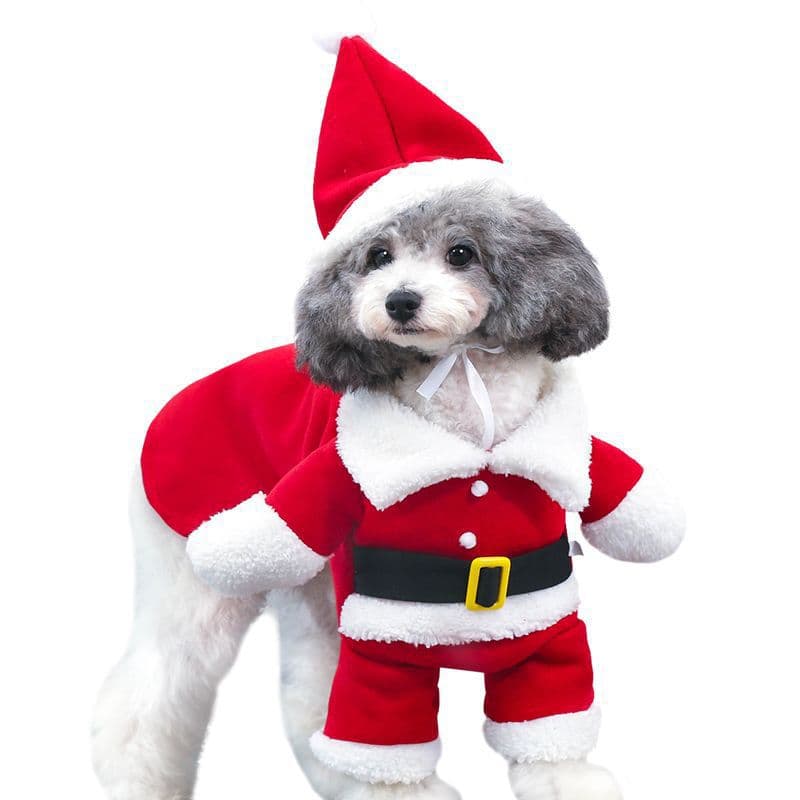 Disfraz Navideño para Mascotas Standing Costume