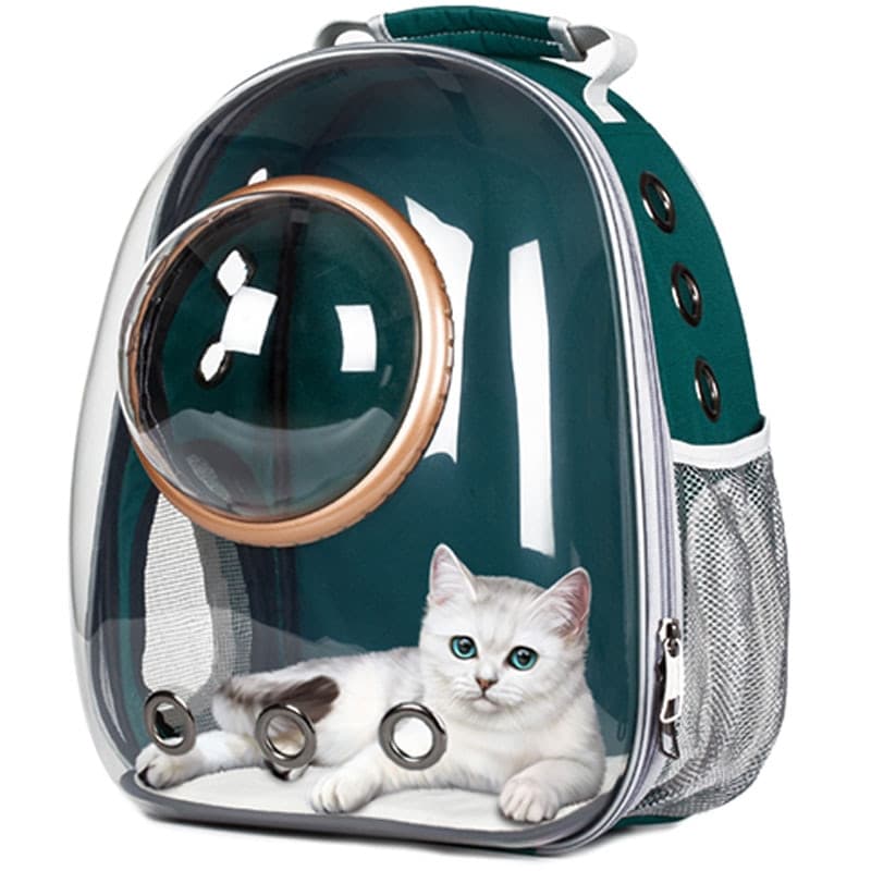 Bolsa de Transporte Transparente para Gatos