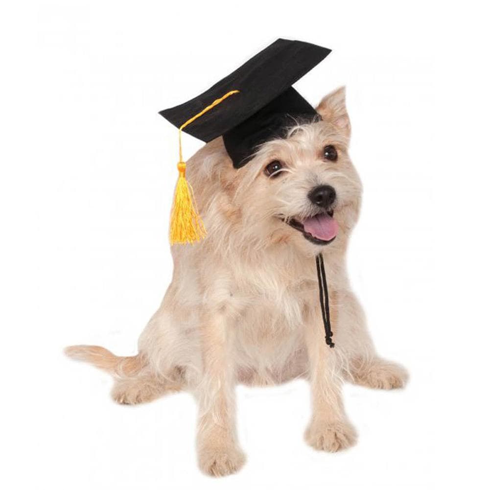 Gorro Académico para Mascotas