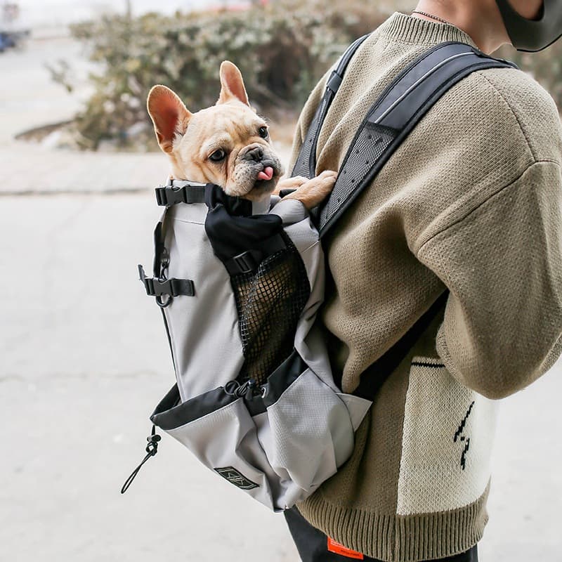 Mochila Transportín para Perros de Doble Asa