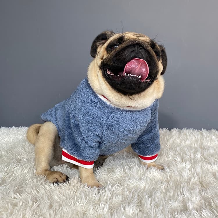 Jersey para mascotas