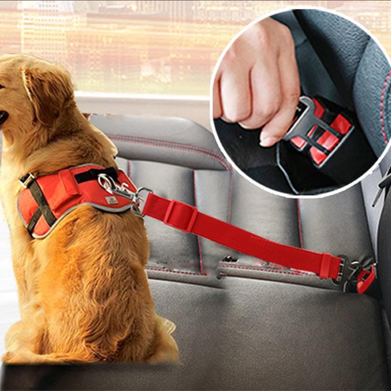 Arnés de Seguridad Telescópico para Perros en Coche
