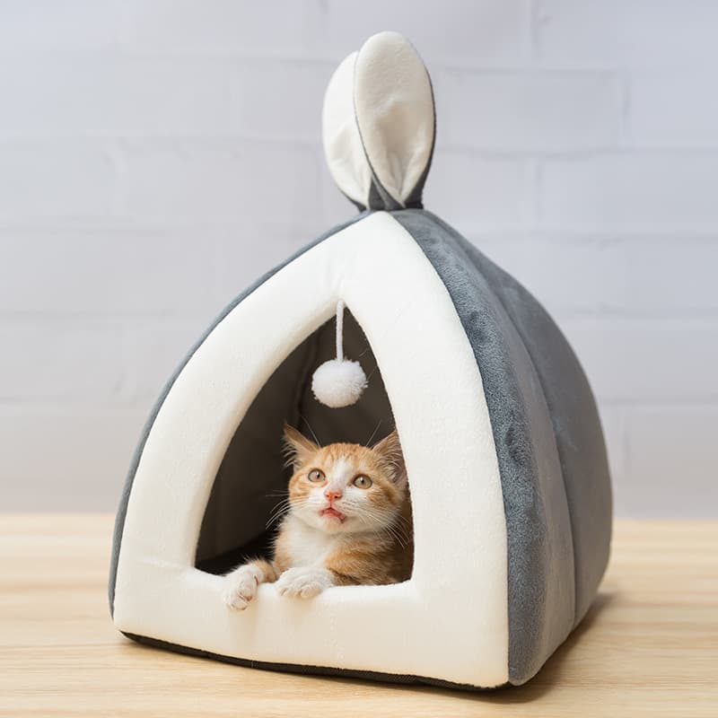 Casa para Gatos y Perros Pequeños