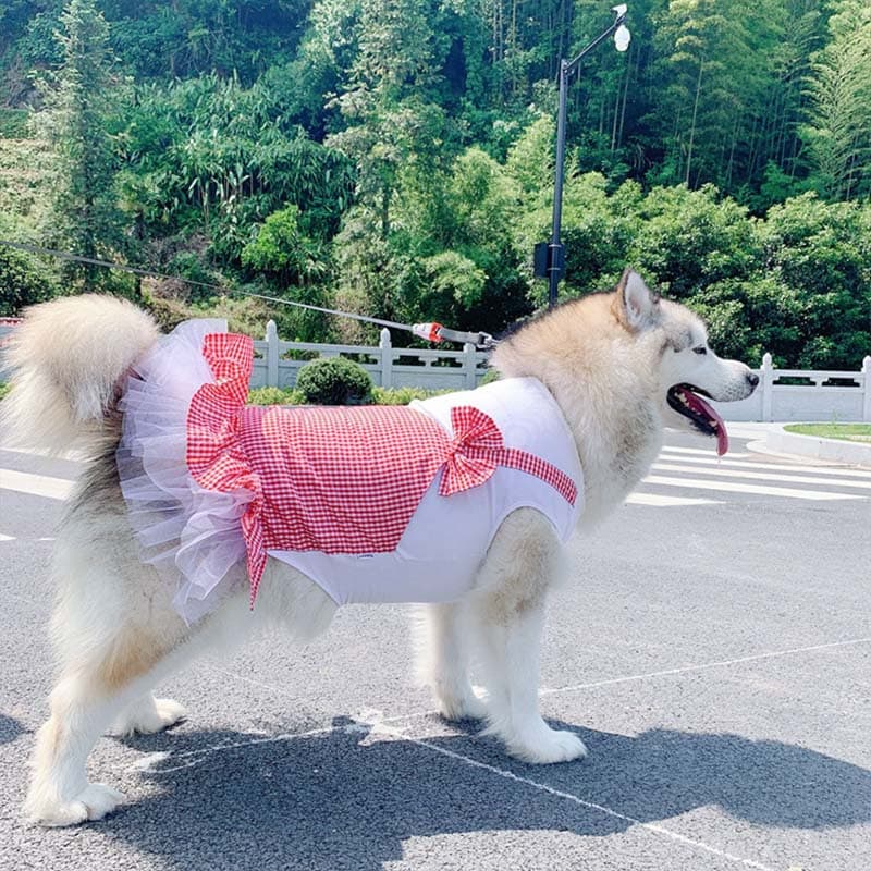 Disfraz Princesa para Perros Grandes