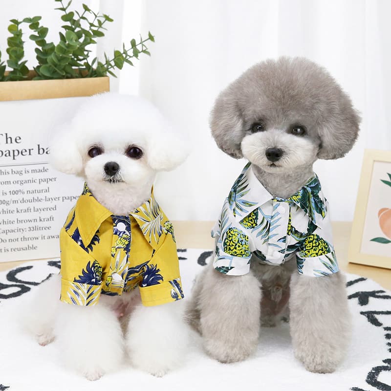 Ropa Fresca para Perros Verano