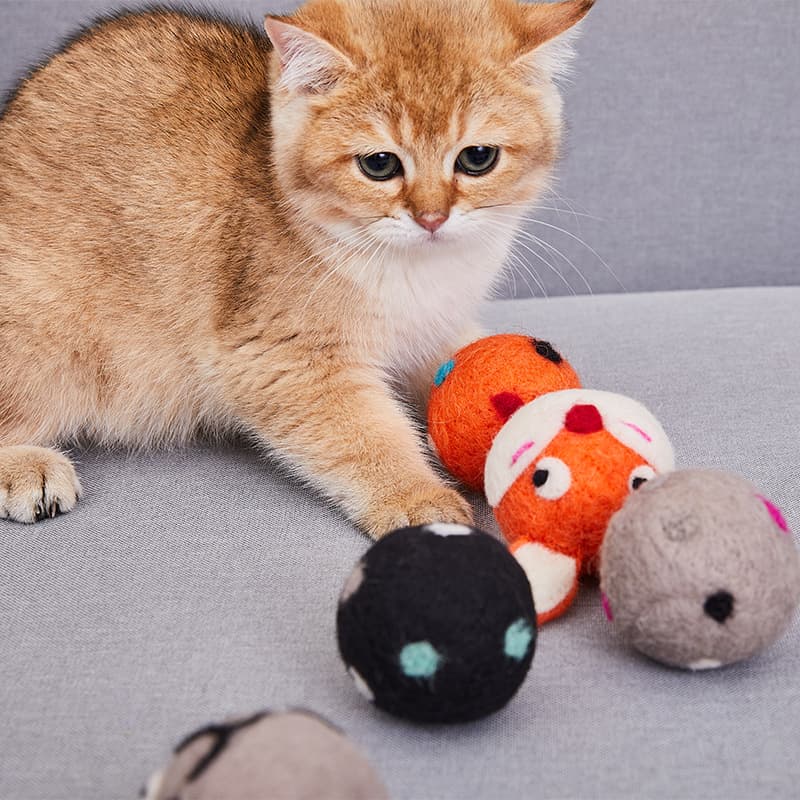 Pelota de Juego Multicolor para Gatos con Sonajero