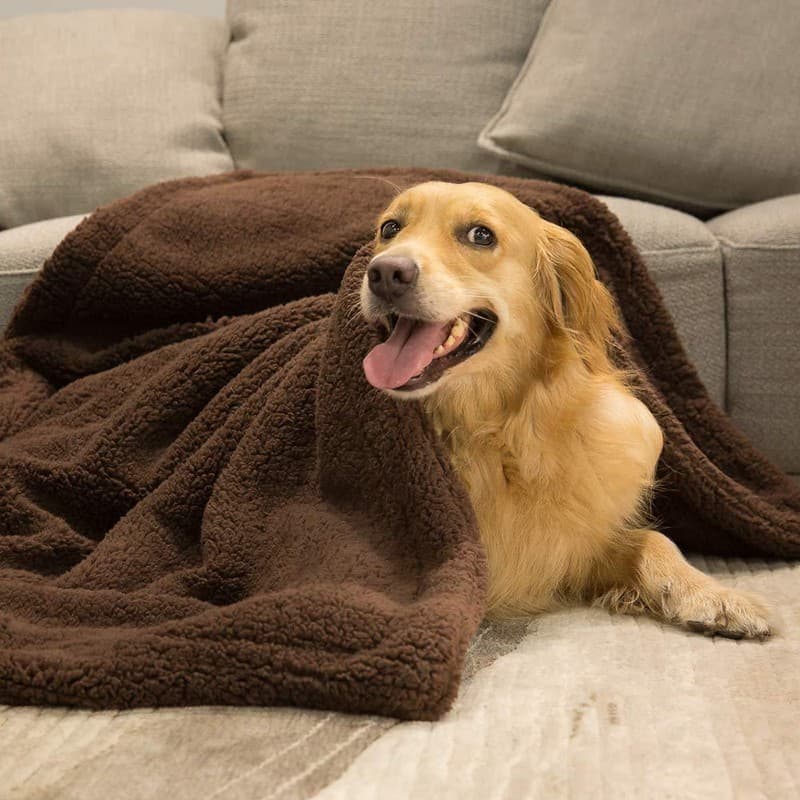 Manta Acolchada Suave para Mascotas