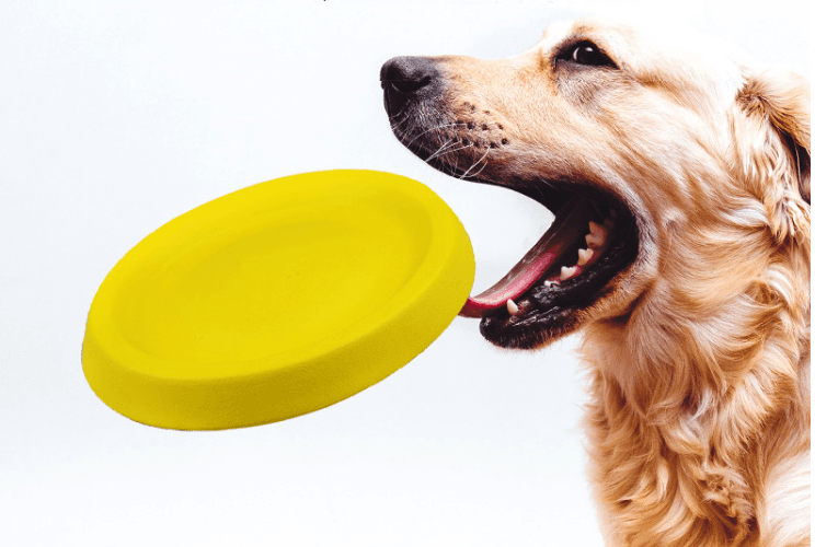 Juguetes de Plástico para Lanzar a Perros