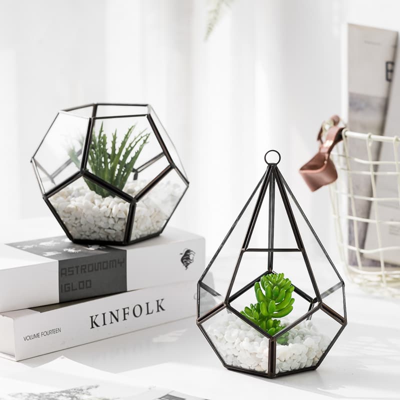 Decoración de Suculenta en Maceta con Diseño Bonsái
