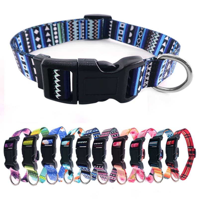 Collar para Perro Bohemio con Estampado Digital