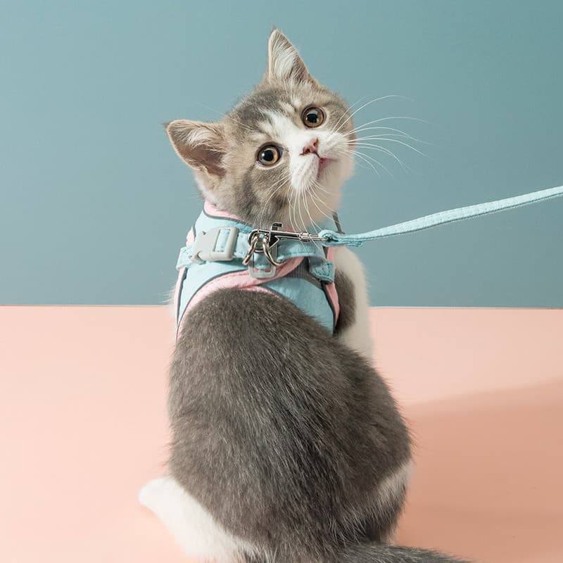 Arnés de Tracción para Gatos con Correa de Pecho