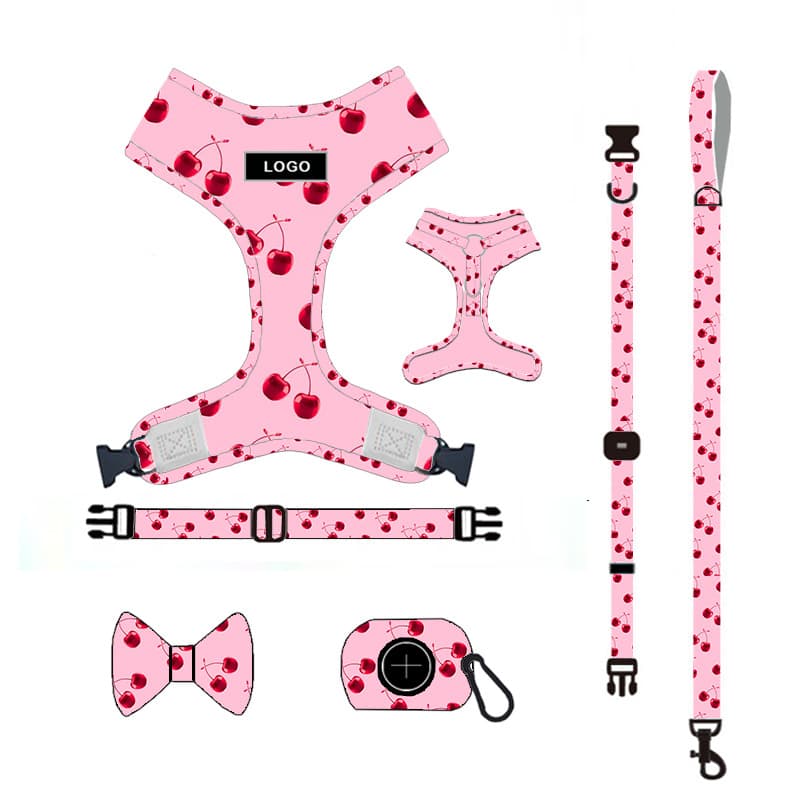 Set de Correa y Accesorios para Perro