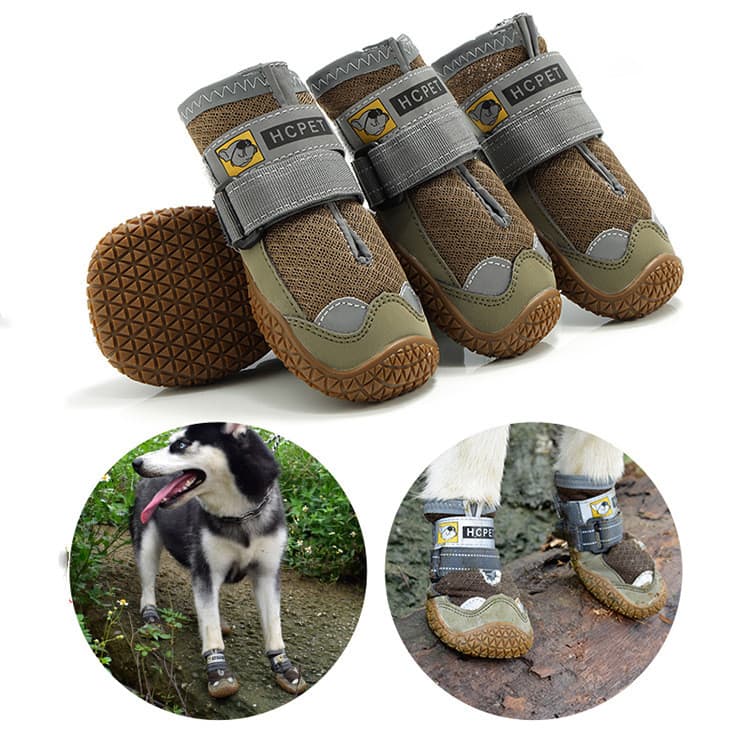 Zapatillas Respirables para Perros Verano