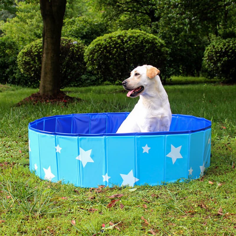 Bañera Plegable para Perros PVC