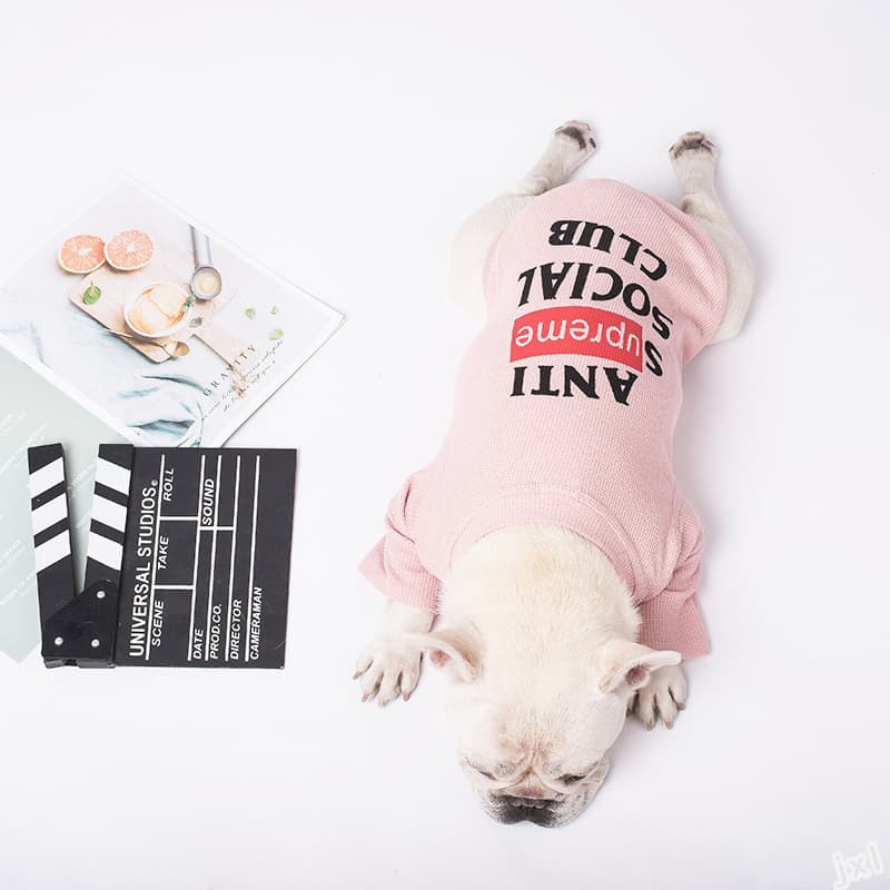 Ropa para Perro Casual de Dos Patas