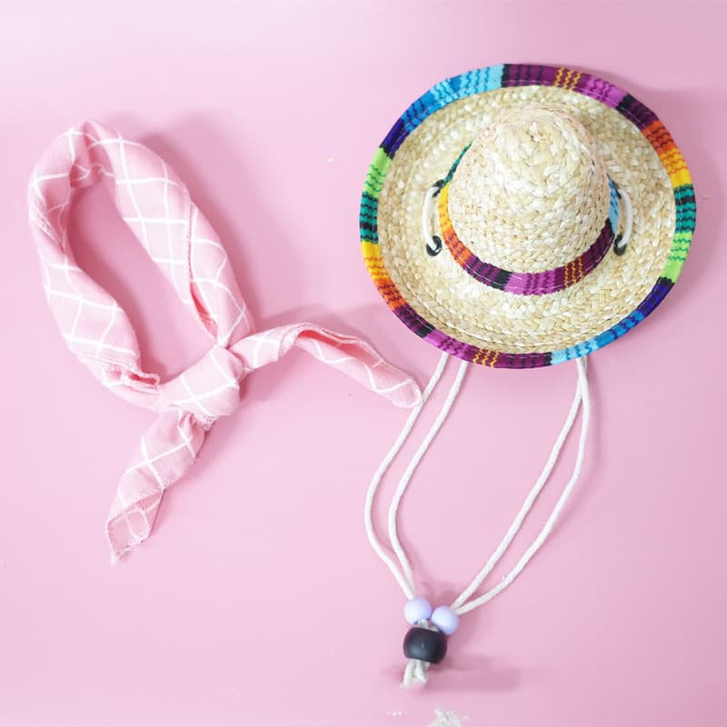 Set de Accesorios para Mascotas Verano