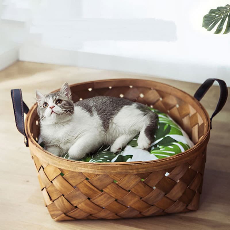 Cama de Bambú y Ratán para Mascotas - Casa Tipi