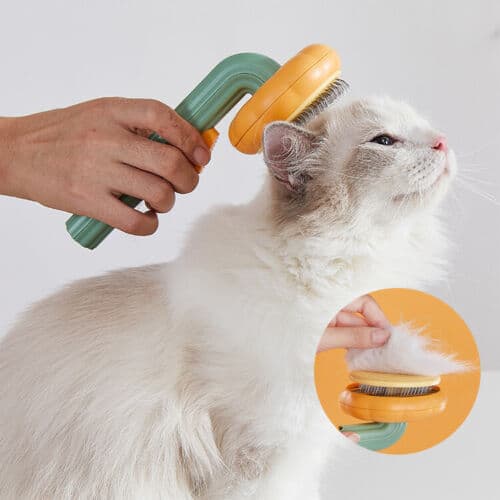 Cepillo de Aseo Pet Pumpkin para Perros y Gatos