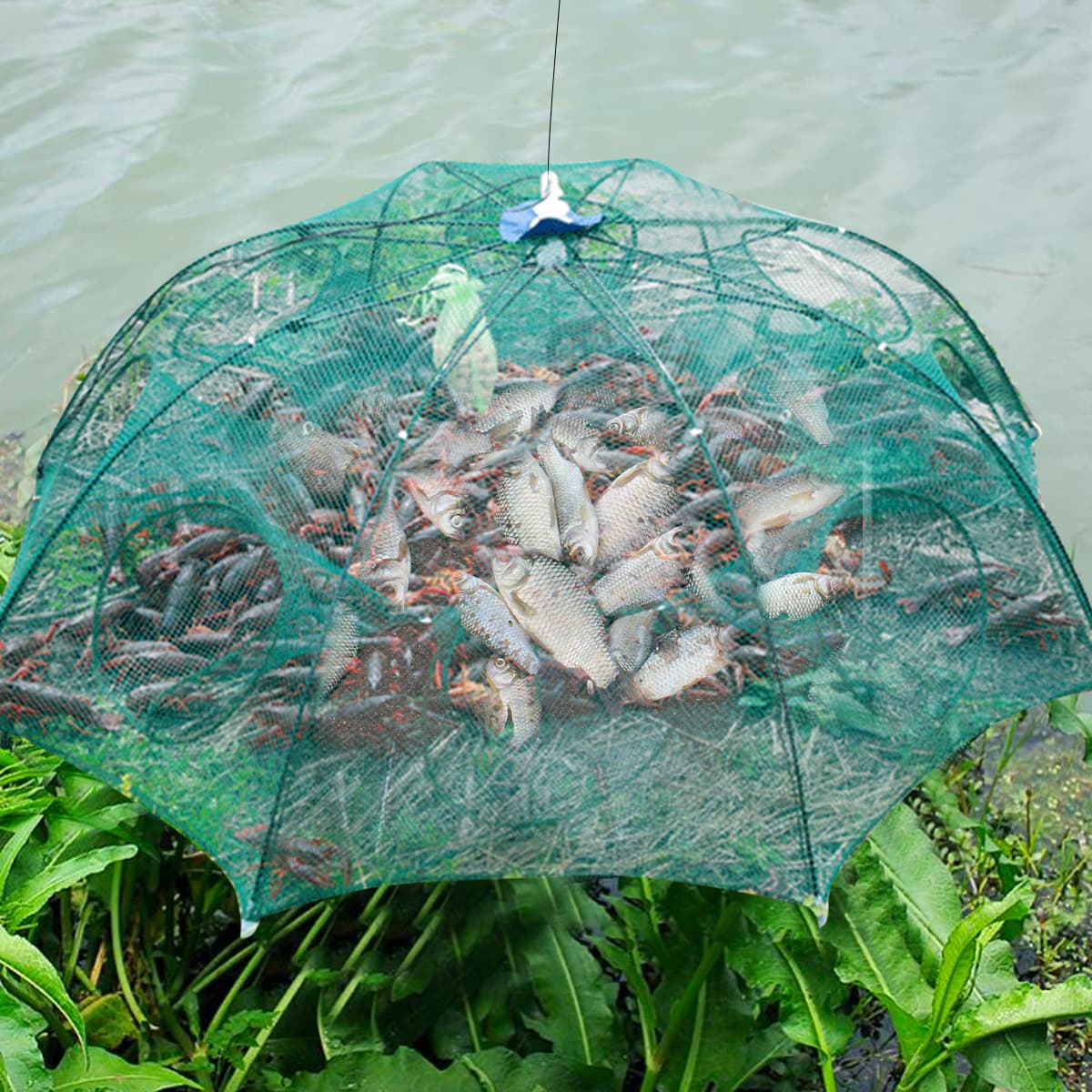 Red de Pesca Automática Plegable para Camarones y Cangrejos