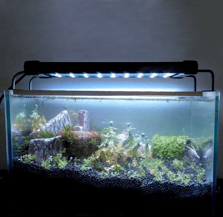 Lámpara LED para Acuario de Agua Dulce