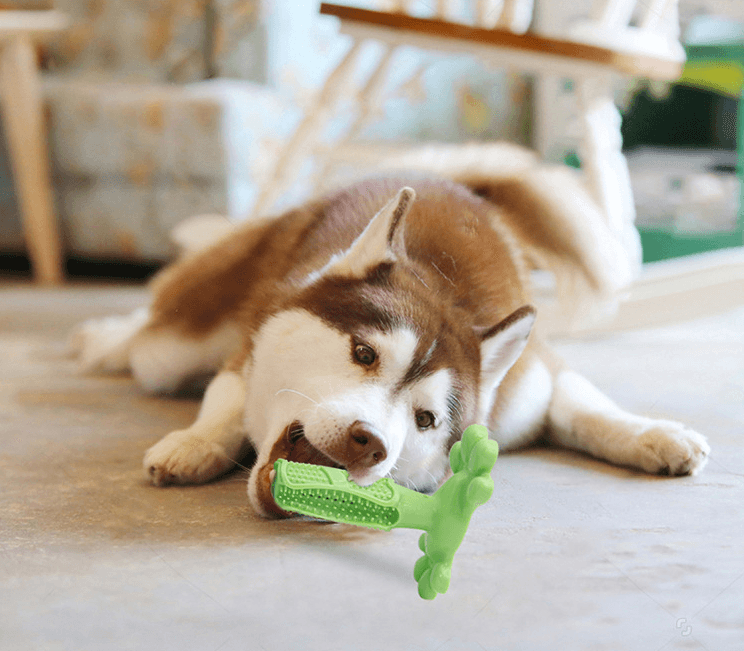 Juguete de Limpieza Dental para Perros Grandes