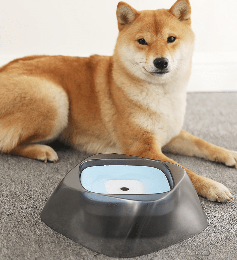 Cuenco Flotante Antisaliva para Perros y Gatos