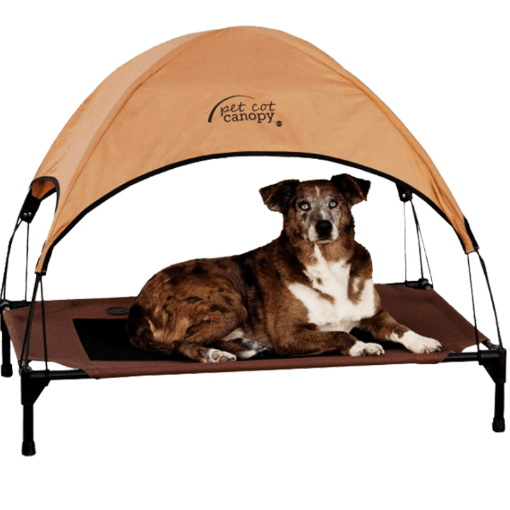 Cama para Perro Impermeable Desmontable y Lavable