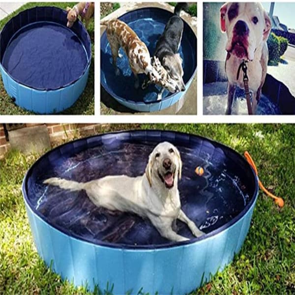 Piscina Plegable para Perros